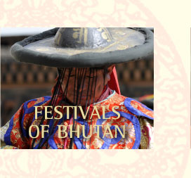 bhutan visitor
